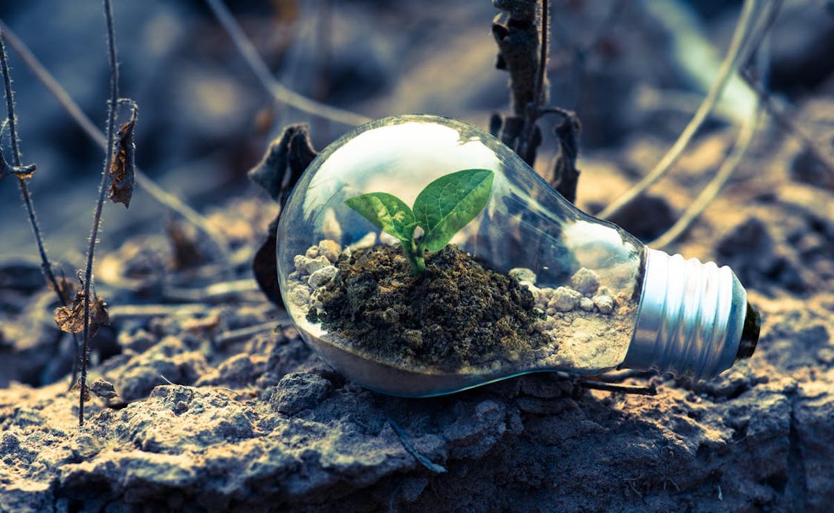 Africa’s Best Corporate-Startup Collaboration Accelerator Now Open for Applications from the Most Disruptive Startups