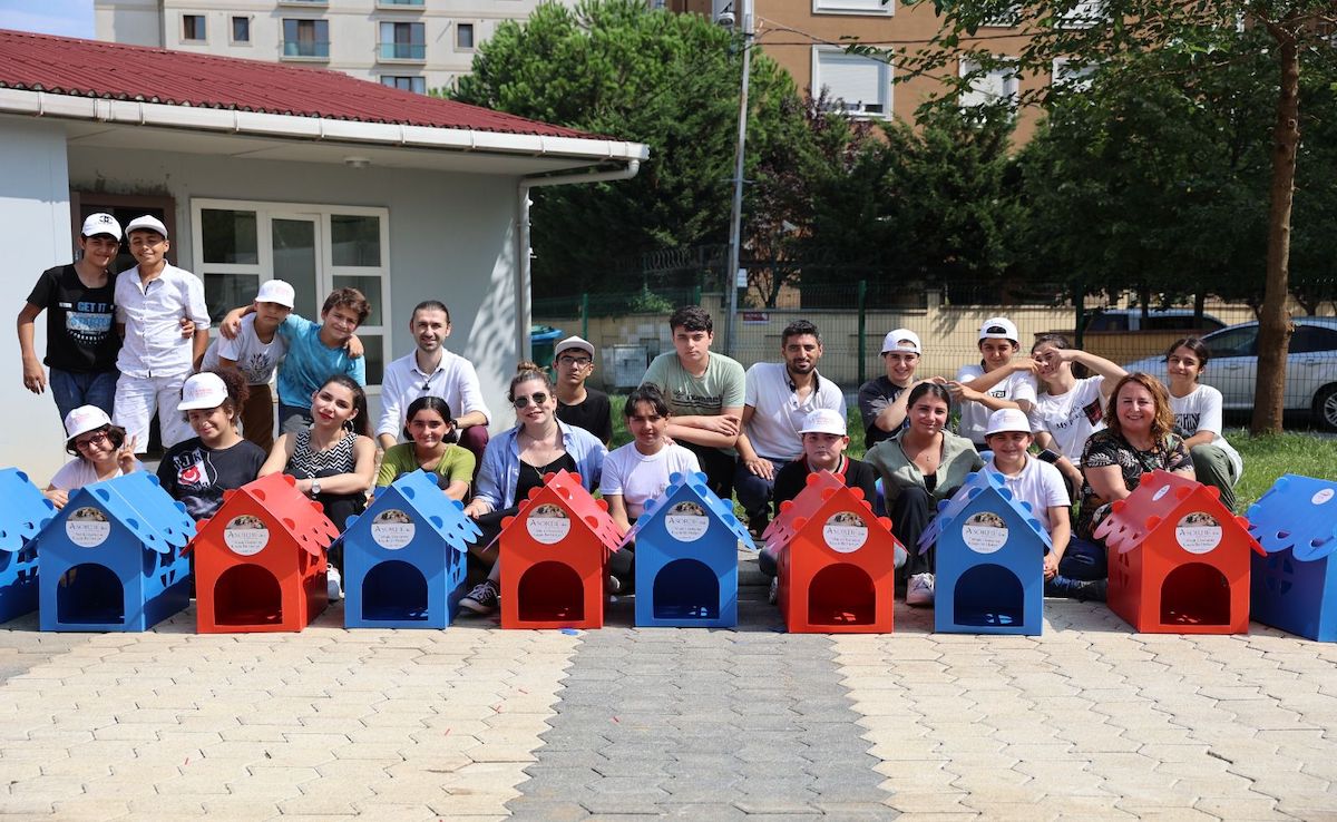 Number of stray animals in Turkey has approached 10 million