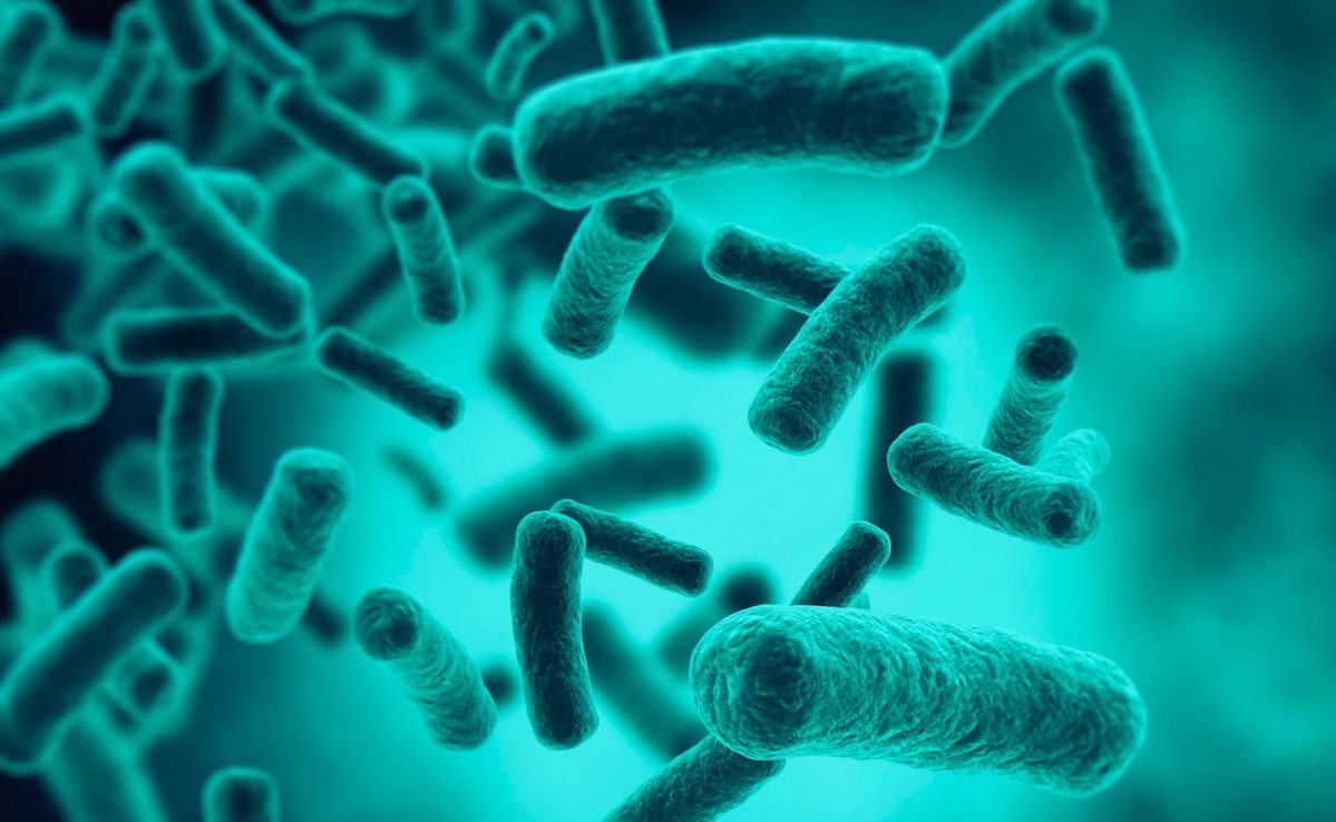 Early diagnosis of colon cancer possible with gut microbiome analysis
