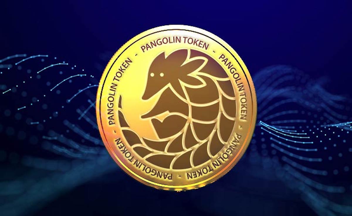 Pangolin (PNG) Listed in Turkey!