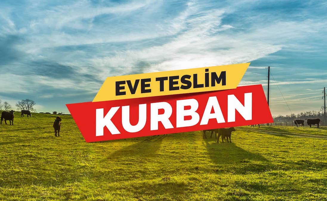 Home delivery victim service will help prevent the intensity of cuts in areas