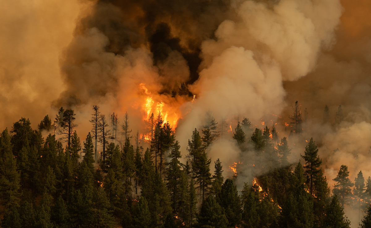 Turkey experienced the 4th highest temperature during summer in its history!