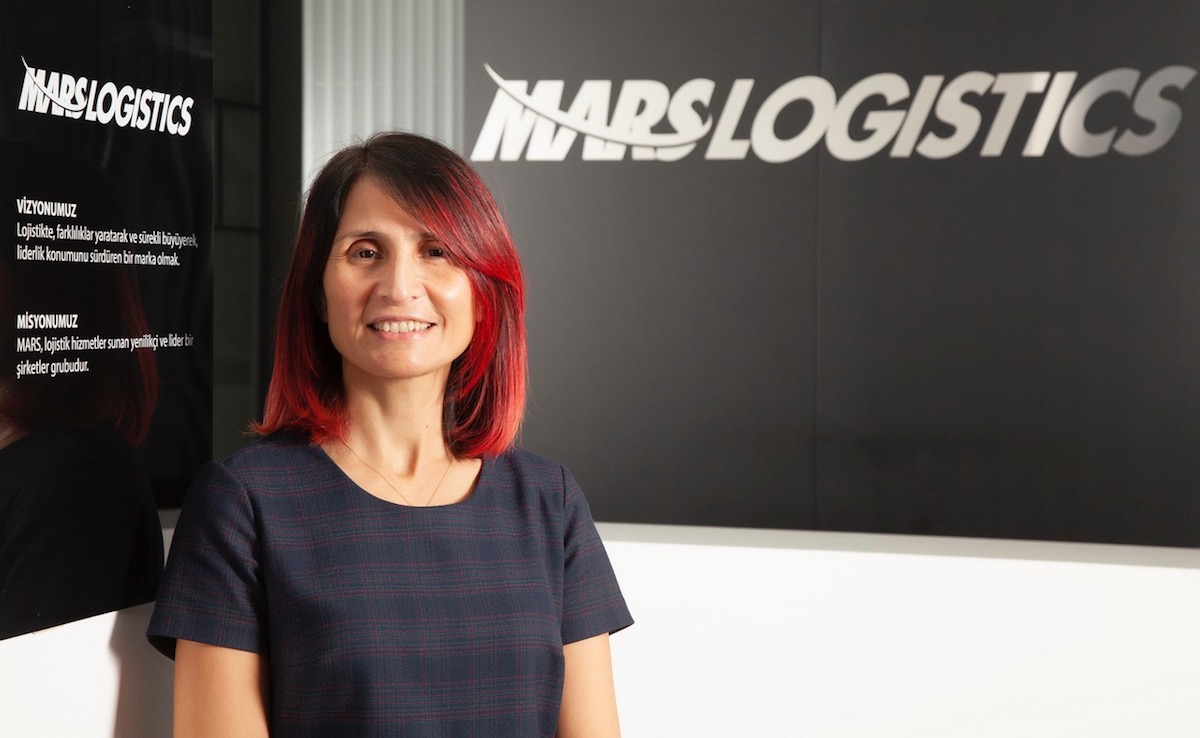 Mentoring Program for Employees from Mars Logistics