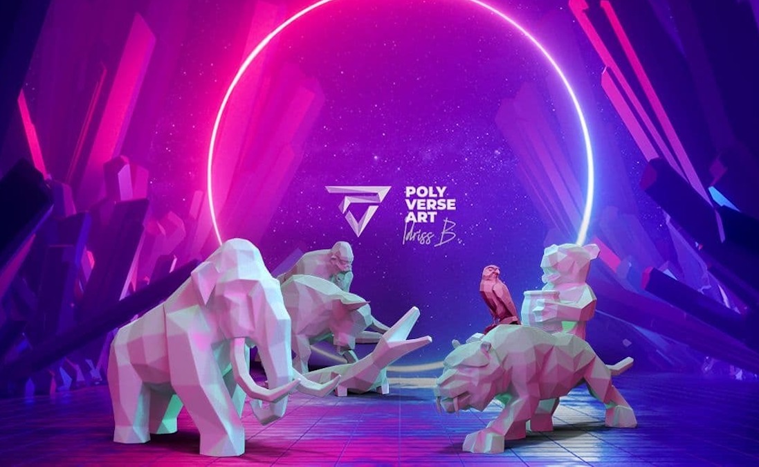Idriss B. announces the launch of NFT - The Polyverse Art
