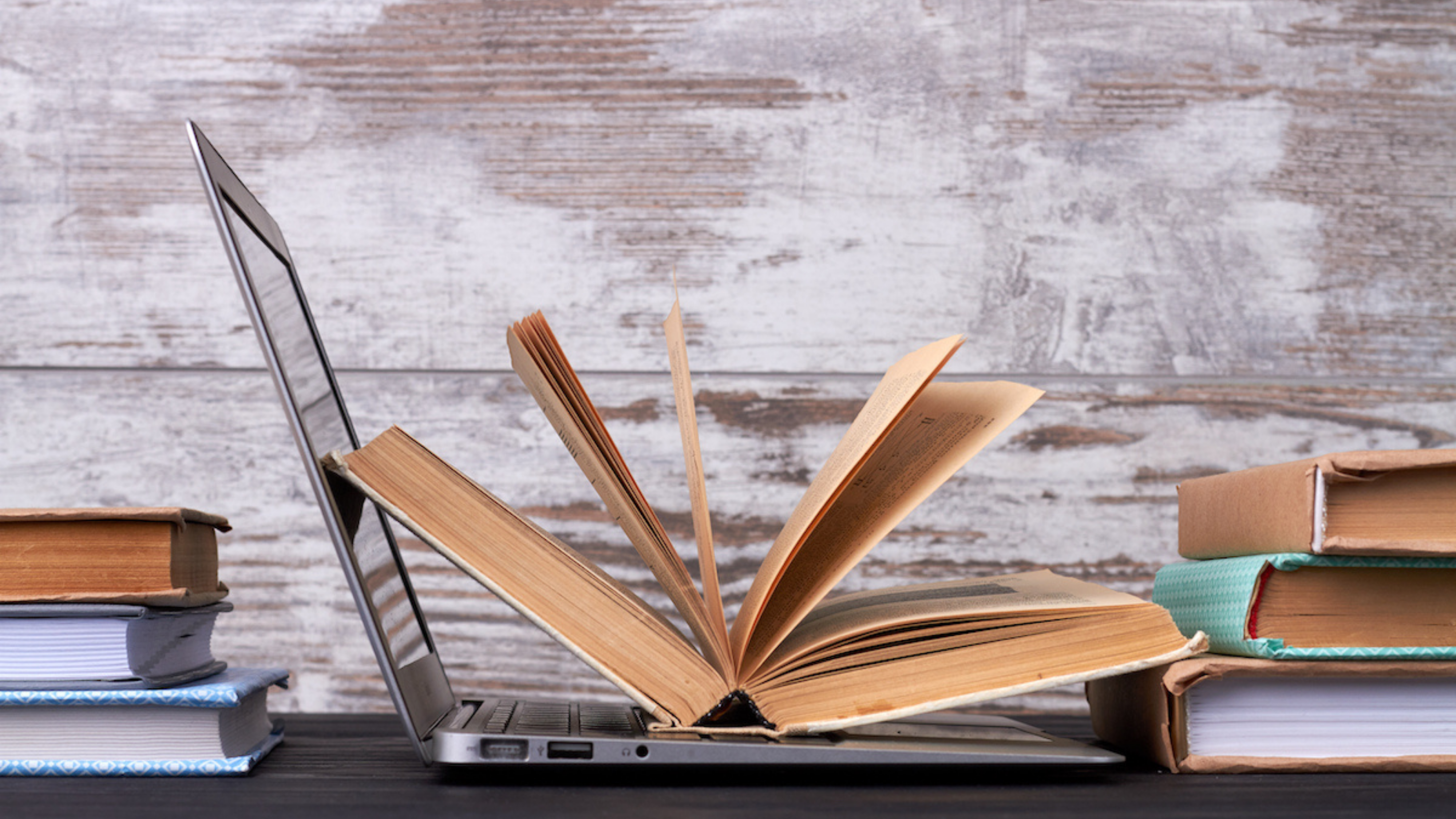 5 million visitors from 190 countries viewed Turkiye's first digital encyclopedia