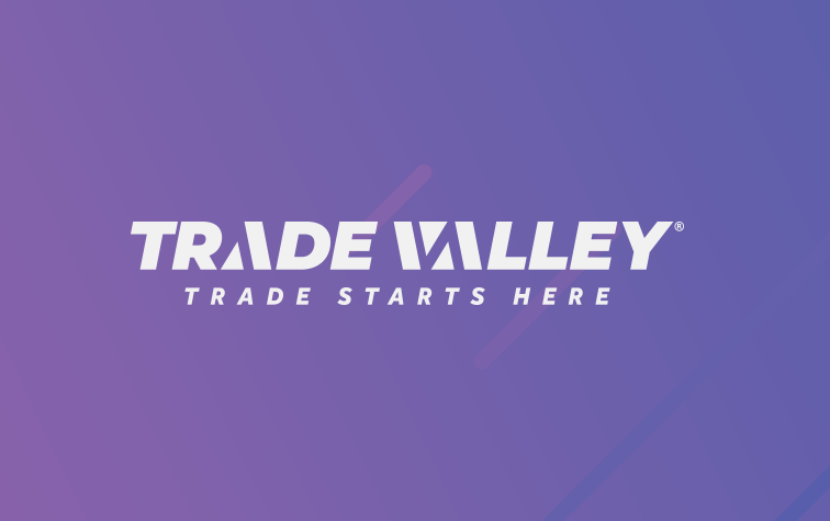 'Turkeyol' will continue its activities under the umbrella of TradeValley