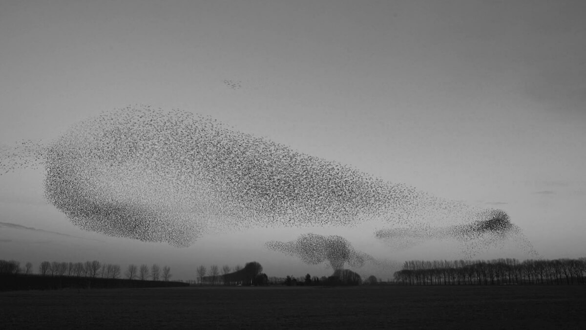 Wainer released ‘New Beginnings’ commercial