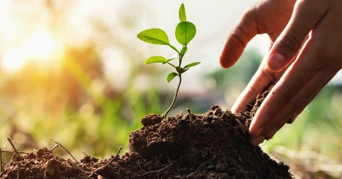 Australian bushfires have set the furniture sector in Turkey in motion