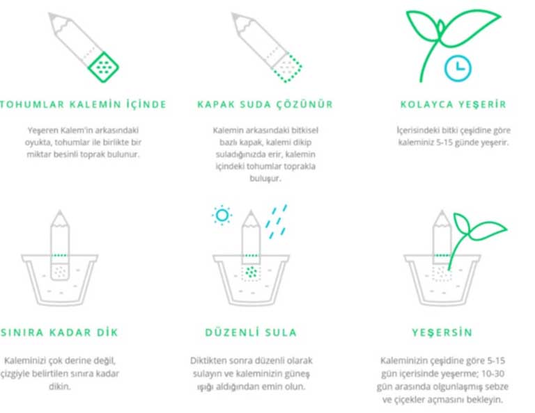 Environmentalist Lead Pencil 