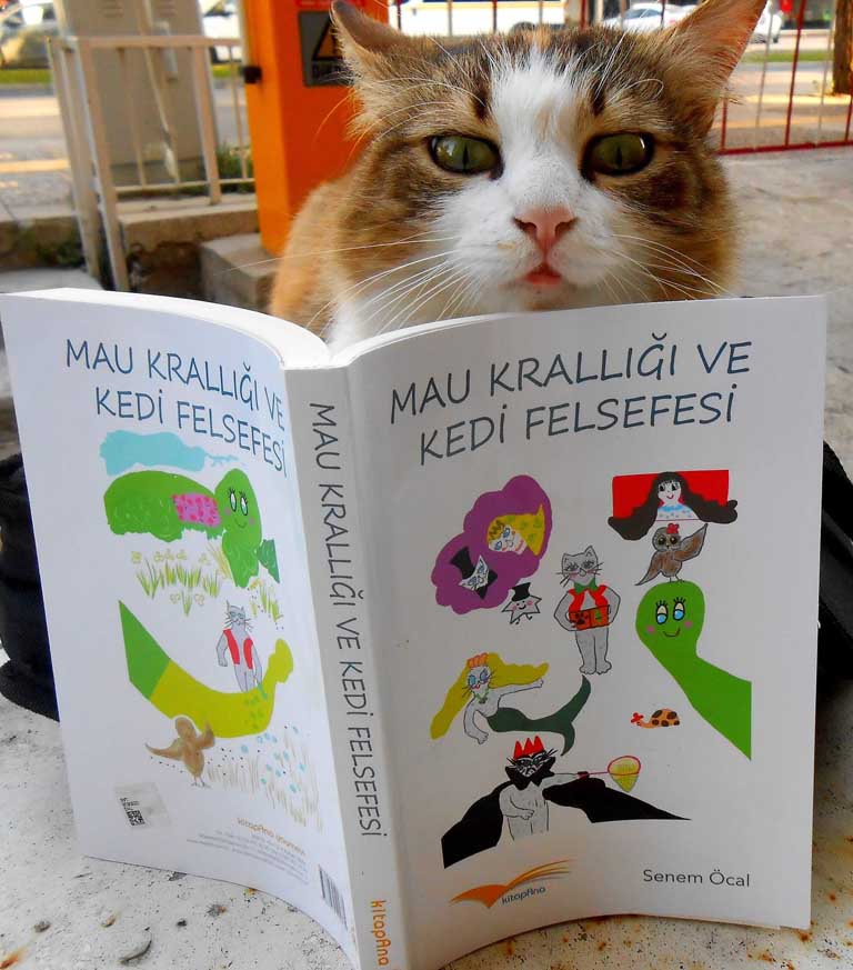 Books provide the development of abstract intelligence in children!