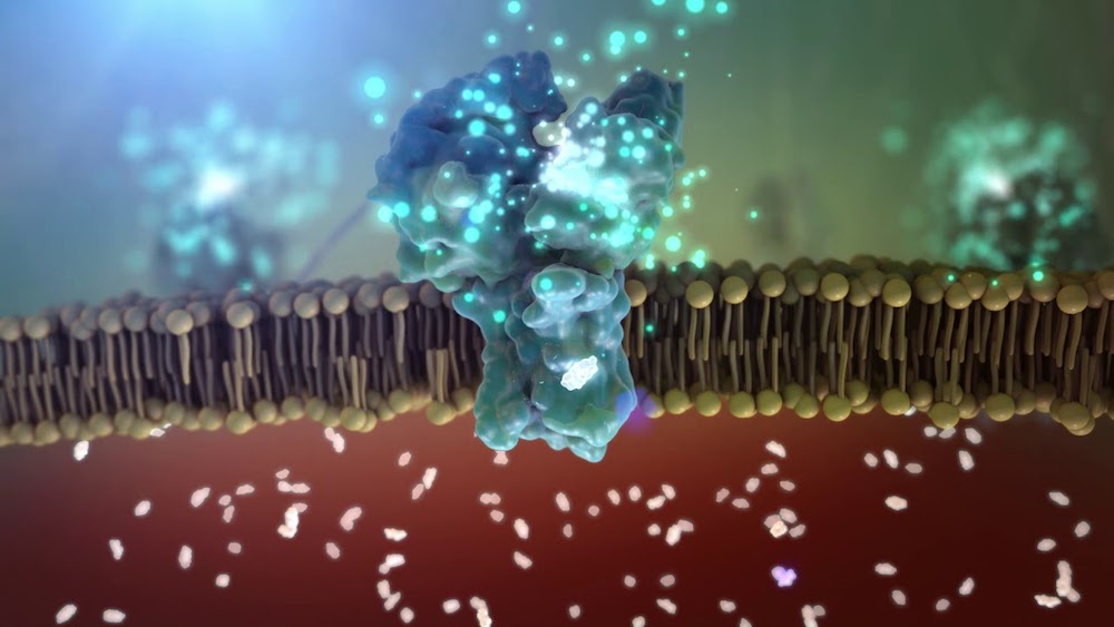 VistaGen Therapeutics and EverInsight Therapeutics Enter Strategic Collaboration