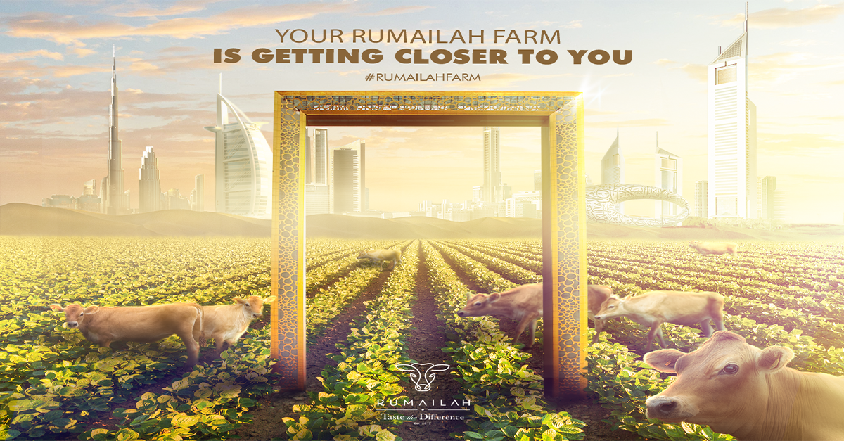 After East Coast Success, Rumailah Farm Set to Expand across UAE