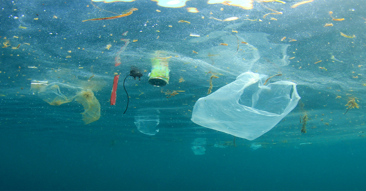 More than 14 million tons of microplastics have accumulated on the floor of the oceans!