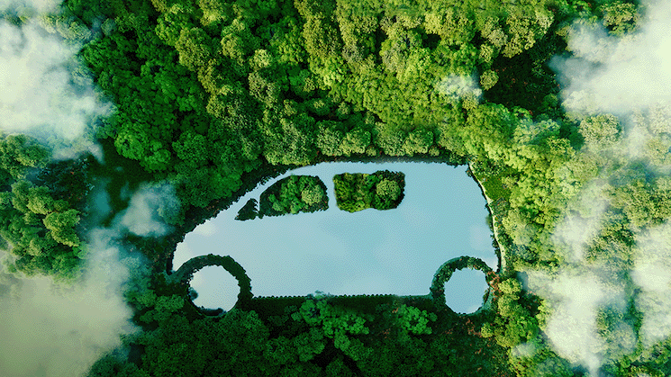 Zer, by saying "Sensitive Travel", both donated seedlings and encouraged female drivers