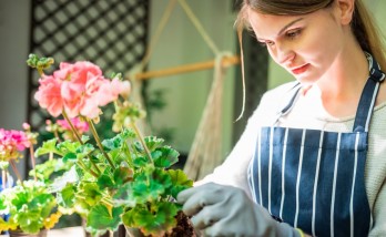 5 suggestions for those who want to grow plants with their own facilities at home