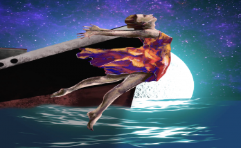 NFT collection for May 19 was introduced