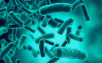 Early diagnosis of colon cancer possible with gut microbiome analysis