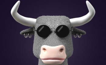 Coinoxs to introduce the world's first next-generation community NFT