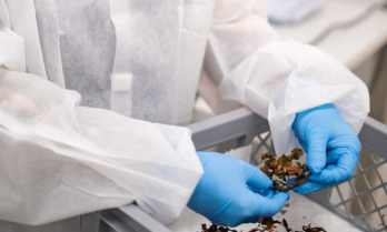 From the Baltic Sea to Breakthrough Skincare: Finnish Marine Science Behind a Cleaner Beauty Future