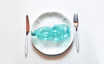 Plastic is found in 1 out of every 3 fish!