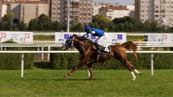 4Nala.com, the new bookmaker of horse racing betting, took its place at the Gazi Race on 30 June