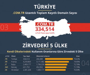 Turkey is the leader in country domain extension usage