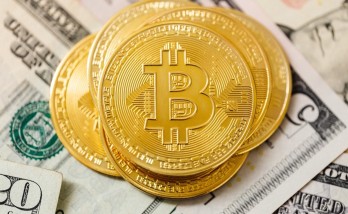 2 out of 3 crypto investors are looking for long-term investment!