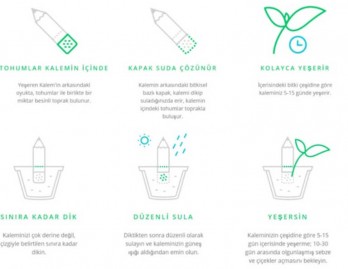 Environmentalist Lead Pencil 