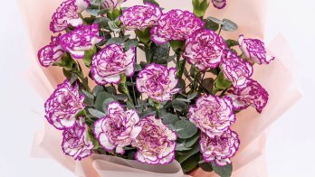  1love.com.hk: Hong Kong’s latest online flower shop is officially launched, presenting the ultimate floral feast