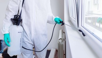 We are searching cleaning services on the internet most