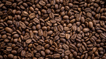 Anisah Coffee has increased its daily coffee production to over 3.5 tons