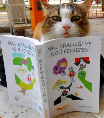 Books provide the development of abstract intelligence in children!