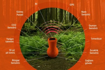 Smart Capsules to Combat Forest Fires