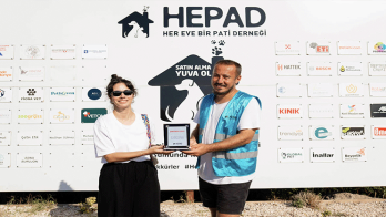 They enabled the adoption of 10 animals as part of October 4 Animal Protection Day. 