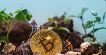 Xrp Classic Promotes Eco-Friendly Regenerative Finance Using Blockchain with Completion of Fair Launch