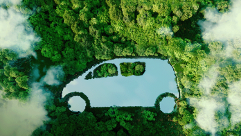 Zer, by saying "Sensitive Travel", both donated seedlings and encouraged female drivers